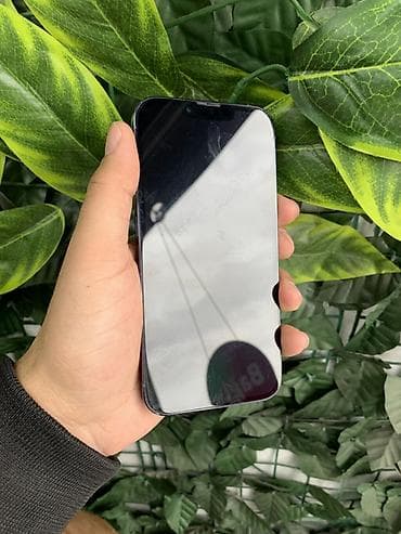 ipone mini: IPhone 13 Pro, 128 GB, Sierra Blue, Face ID, Sənədlərlə, Simsiz şarj — 4