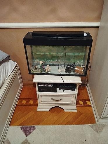 Digər heyvanlar: Akvaryum dəsti - Şüşə akvaryum, qara çərçivə və yuxarıdan — 1