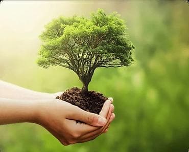 Salam olsun hərkəsə. Mən ailəliyəm ailəmlə işliyə biləcək bag evi vəya