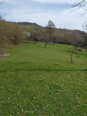 torpaq lenkeran: Kənd təsərrüfatı — 4