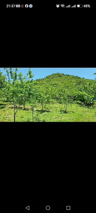 sumqayıtda torpaq: 4 sot, Tikinti, Mülkiyyətçi, Kupça (Çıxarış) — 1