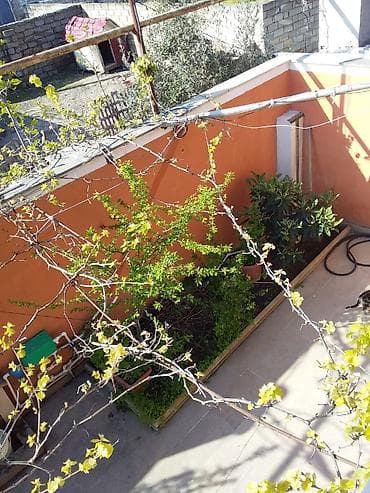 sabuncuda ucuz evlər: 170 kv. m, 7 otaqlı — 2