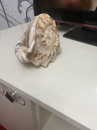 qedim saatlar: Əntiq saatlar — 2