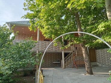 bağ yellencekleri: Şamaxı şəhəri çuxuryurd kəndi Yaşıl ağaclarla əhatələnmiş həyətyanı — 2