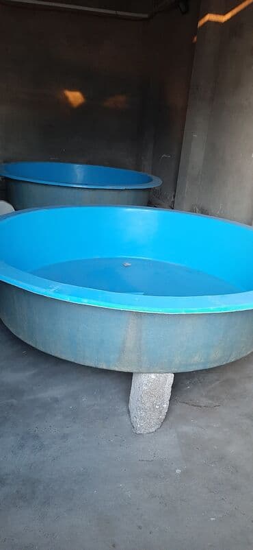 hamam tuşu: Hovuz .baseyn. uşaqlar üçün. sınmır qirilmir — 2