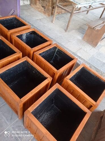 dibçek gulleri: Dibçək güldanlar. Dipçəklər bir başa sexdən.Sex qiymətinə. ♦️Endrim — 2