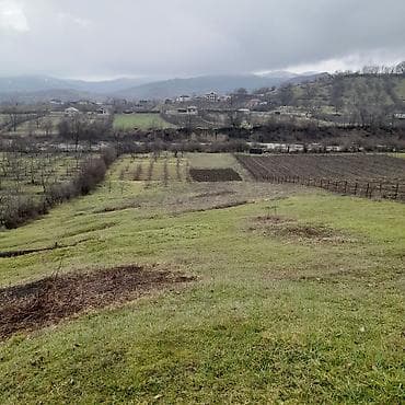 ucuz torpaqlarin satisi: Kənd təsərrüfatı — 5