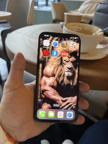 apple x ikinci el: IPhone 12 Pro Max, 256 GB, Göy, Face ID — 5