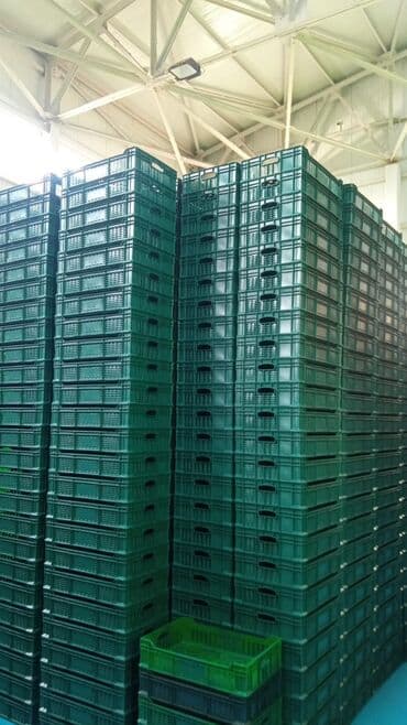 həsir səbət: Plastik yeşik(tara,sebet,yesik,qutu) istehsalı. ölçülər 60/40/10sm — 24