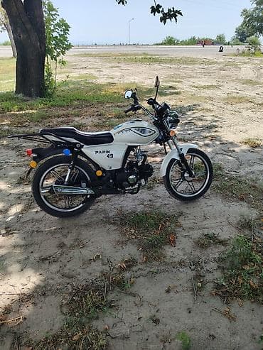 hava kompressoru: Papik 49 motosiklet – şəhər və qısa məsafələr üçün yığcam, qənaətcil — 3