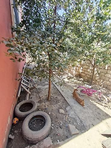 xocesen ev: 4 otaqlı, 130 kv. m, Orta təmir — 4