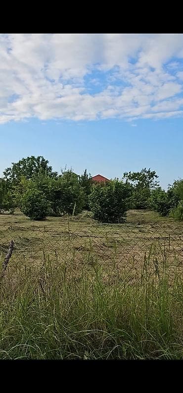 yaşma bağları torpaq: 8 sot, Kupça (Çıxarış) — 6