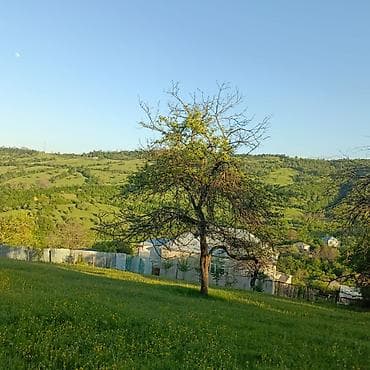 digah heyet evleri: Tikinti — 1