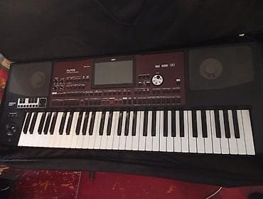 pax3 korg: Sintezator, Korg — 1