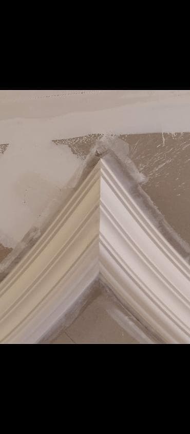 alcıpan fiqurlari: Kipsden birbaşa usdunde paduqa ve lepqa işleri kant ve gizlin işigin — 3