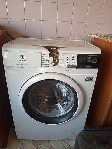 Texnikanın təmiri: Electrolux PerfectCare 600 ön yükləməli paltaryuyan maşın - Yük — 2