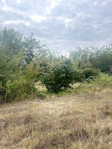 qubada torpaq satilir 2020: 110 sot, Tikinti — 8