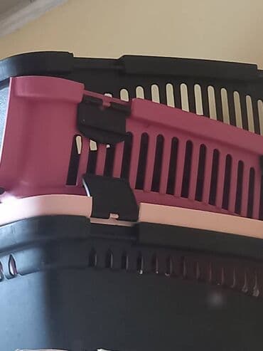 pişik latok: Tund cehrayi .10m satilir .qapısının asagı baglanan yeri — 1