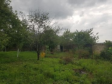 gence tap az: 6 sot, Tikinti, Mülkiyyətçi, Kupça (Çıxarış) — 5