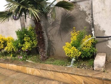 yeni evlər: 300 kv. m, 4 otaqlı, Kanalizasiya — 23