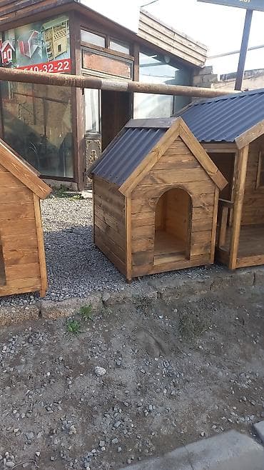 Yemlər: Darvazabazari.az oz mehsullarin teqdim Edir Diqqetle Oxuyum Bu — 2