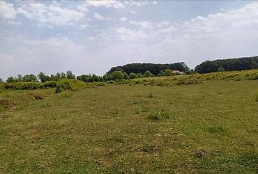 75 sot, Kənd təsərrüfatı, Mülkiyyətçi, Kupça (Çıxarış)