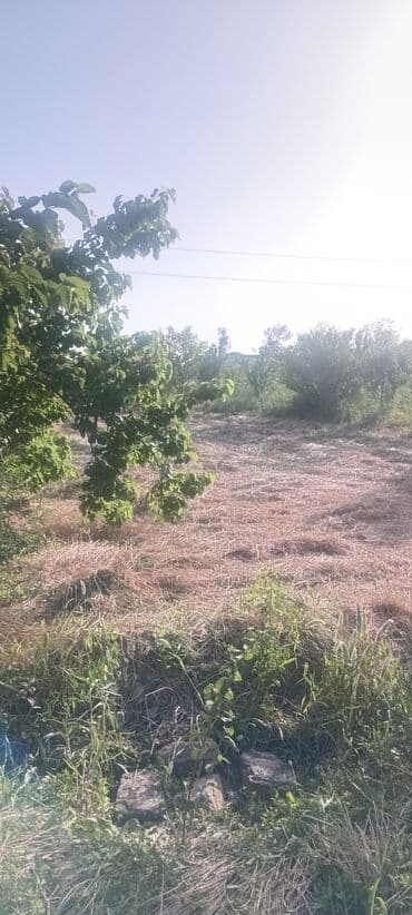 agdasda torpaq satilir teze: Salyan, 150 kv. m, 4 otaqlı, Hovuzsuz, Qaz, İşıq, Su — 6