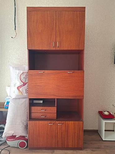 kamp evi: Mebel dəsti: yumşaq kreslo və taxta qarderob (2 qapılı) - Kreslo — 3