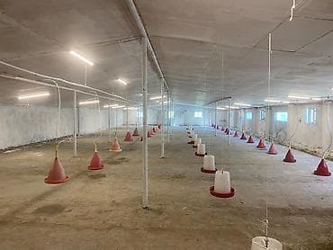 Готовый бизнес: 8000-den çox toyuq tutumuna malikdir 550 kvm saheye malik ferma Elave — 3