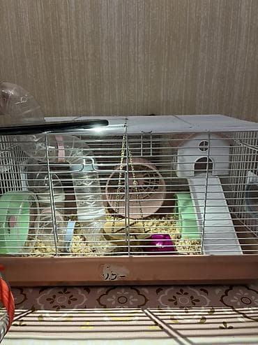 ordək bala: Xamyaq qəfəsin alana 4xamyaq+yumru akvaroum+daşı dekoru+3 danio balığl — 3