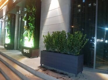 dibcek gullerinin adlari: Bu taxda dipçekin ölçusu 100x30x55 Bu standart alinan ölçudur — 13