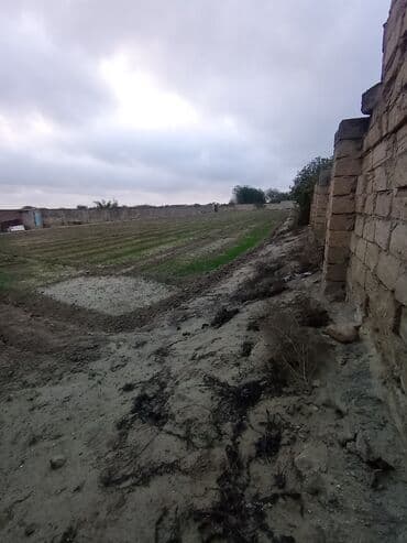 Subaru: 24 соток — 4