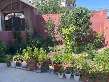 yeni günəşlidə 4 otaqlı evlər: Suraxanı 3 otaqlı, 70 kv. m, Kredit yoxdur, Yeni təmirli — 21