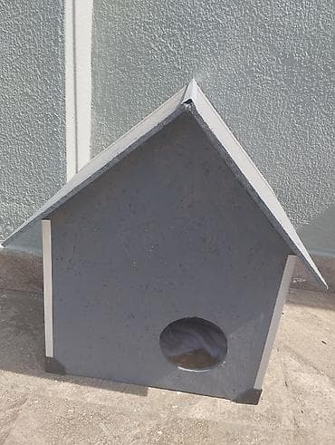 gencede heyvanlar: Cek rassel teryer, 3 ay, Erkek, Peyvəndli, Ünvandan götürmə — 10