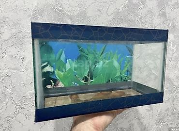 Dördbucaq akvarium, Boş, 7 l, Ünvandan götürmə, Ödənişli çatdırılma