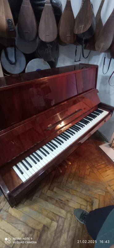 Piano, Belarus, Akustik