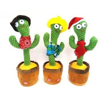 oxuyan kaktus: Kaktus Oyuncaq Zariyatqa ile işleyir Musiqi ile reqs edir Dediyivi — 1