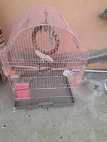 Akvarium aksessuar və ləvazimatları: Qəfəs və aksesuar dəsti – xırda ev quşları üçün - Ölçü: orta həcmli — 6