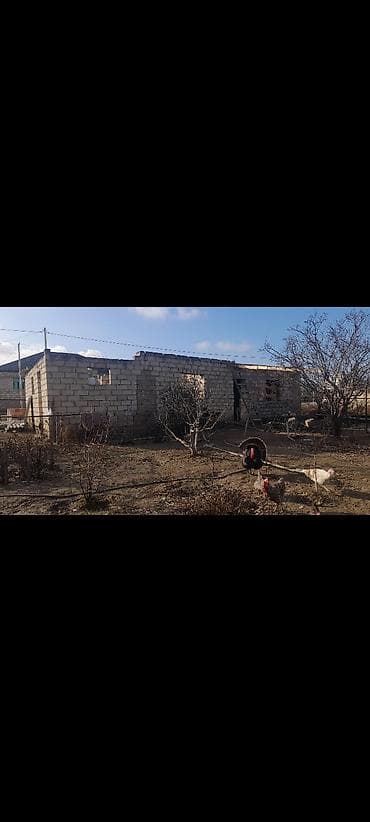 kiraye ile satilan evler: Tikinti — 2