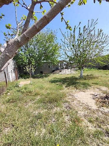 baki hovuzlu evler: Bakı, Nardaran qəs., 185 kv. m, 7 otaqlı, Hovuzsuz, Artezian quyusu — 4