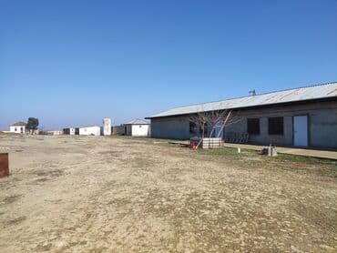 земельные участки коммерческого назначения: 250 соток, Риэлторам не беспокоить, Купчая — 3