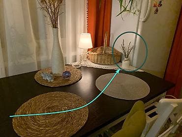 boynu gulu: Bir vaza — 7