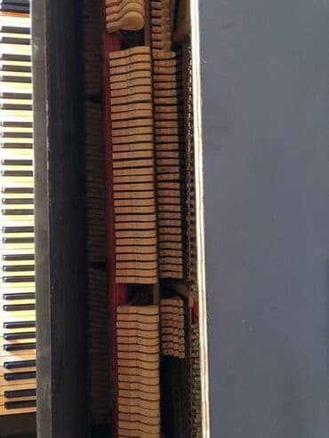 məşq alətləri: Piano, Akustik — 1