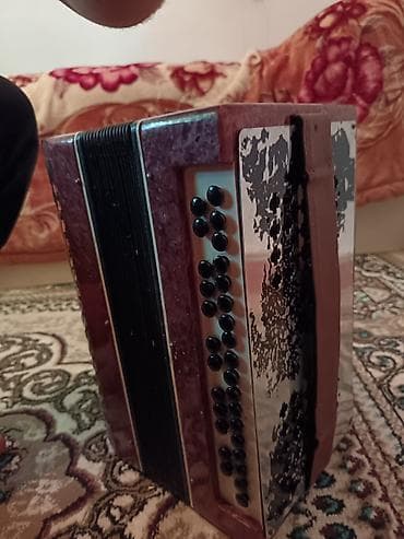mayga piano: Akustik Akkordeon, İşlənmiş — 2