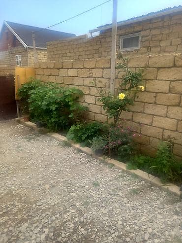 basavik satisi: 3 otaqlı, 3 kv. m, Kredit yoxdur, Təmirsiz — 10
