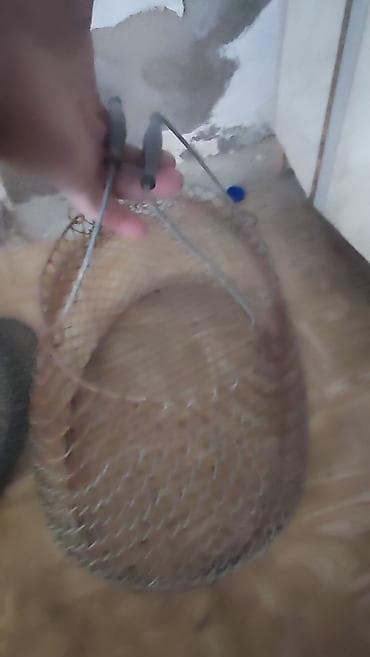 Quşlar: TəDiqqət Qədimi setkalar. bunlarda yaxşı yemək saxlamaq asmaq cox — 4