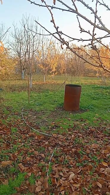 qobuda torpaq satilir 2020: 6 sot, Kənd təsərrüfatı, Makler, Kupça (Çıxarış) — 8