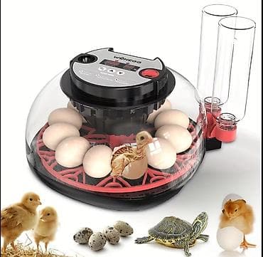 İnkubatorlar: Tam avtomat — 3