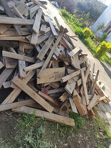 demir kesen misar: Bir qazeldi 4 metrelikk qazellə. Tikinti qalıqları – taxta şalban və — 2