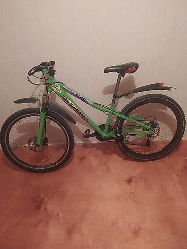 zigzag velosiped: Uşaq/yüngül yeniyetmələr üçün dağ velosipedi - Rəng: yaşıl - Çərçivə — 1